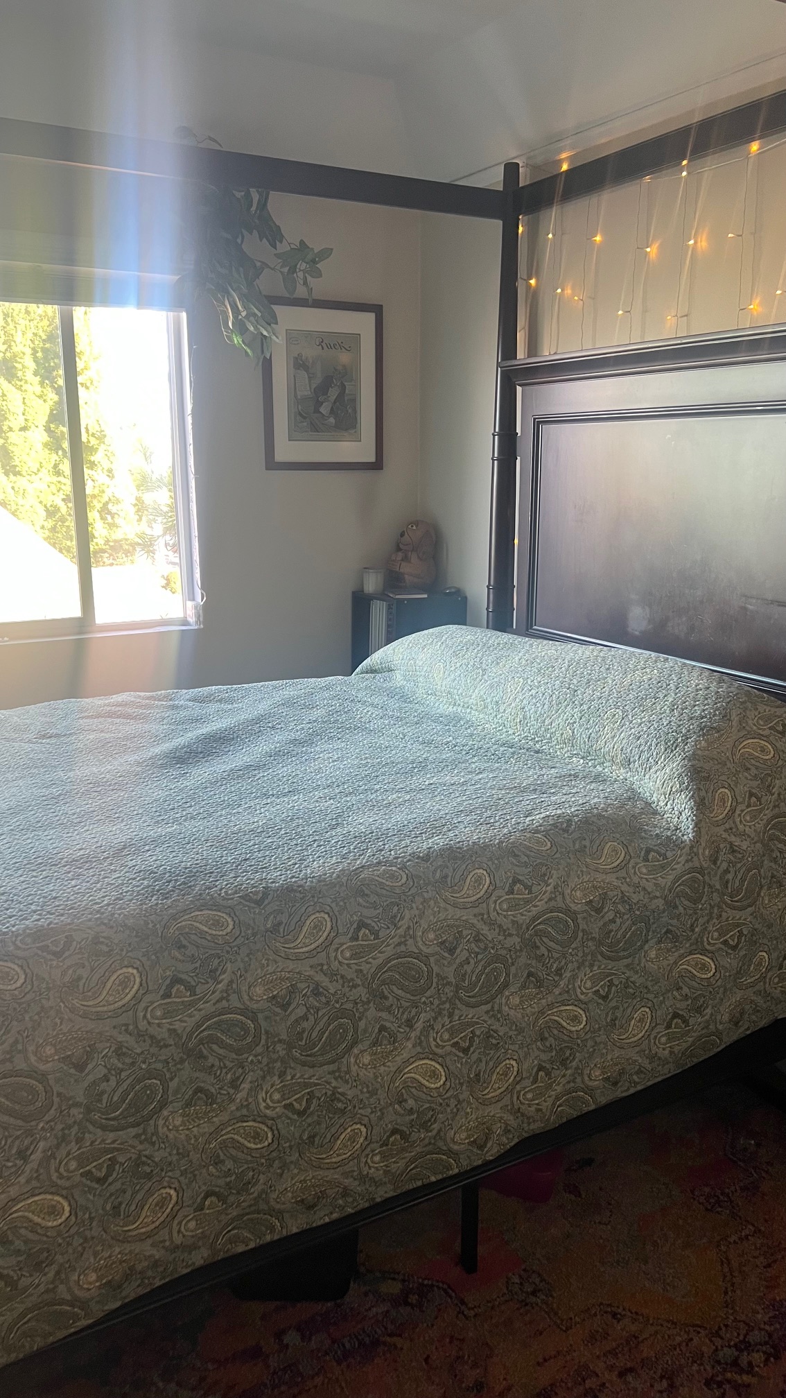 20250618-013009926-9af0-2d35b0f1d131_Student Room 2 .jpg